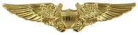 Naval Flight Officer (NFO) Naval Flight Officer (NFO)